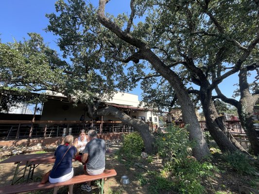 Rentsch Brewery by null