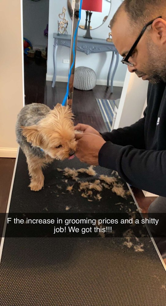 STACYS DOG GROOMING 33 Photos & 17 Reviews Pet Groomers 211