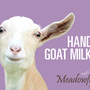 Photo of Gentle Meadow Goat Farm