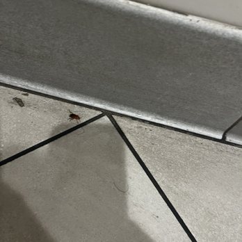 Cold Stone Creamery - ROACHES - Ice Cream & Frozen Yogurt Near Me - Woodland, California