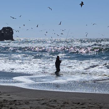 Rockaway Beach - lots of birds and fishermen - Beaches Near Me - Pacifica, California