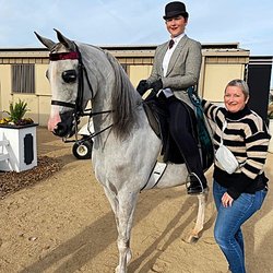 Witte Stables