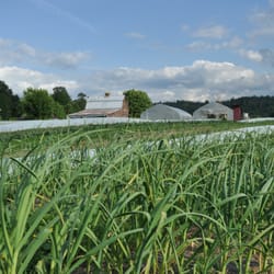 Skylight Farms