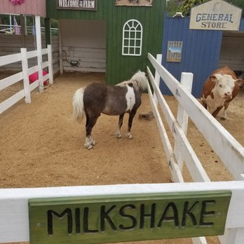 Peter Weber Equestrian Center - Party & Event Planning Near Me - Rolling Hills Estates, California