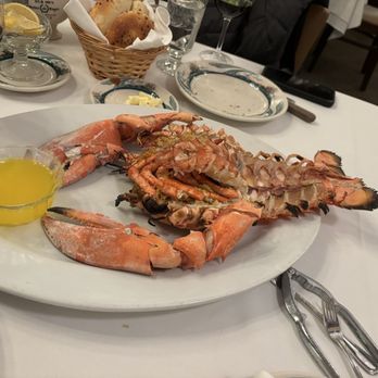 Peter Luger Steak House - 1/3/25 lobster - Steakhouses Near Me - Great Neck, New York Peter Luger Steak House - 1/3/25 lobster - Steakhouses Near Me - Great Neck, New York