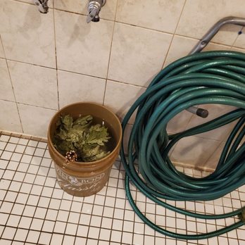 Steamul Sauna - Venik - Day Spas Near Me - Mississauga, Ontario Steamul Sauna - Venik - Day Spas Near Me - Mississauga, Ontario