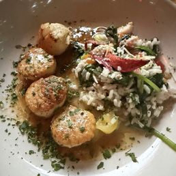 Pan Seared Sea Scallops Pan Seared Sea Scallops