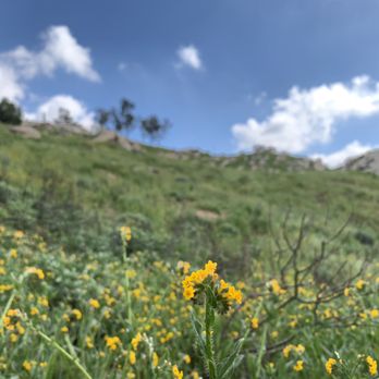 Box Springs Two Trees Trail - Hiking Near Me - Riverside, California