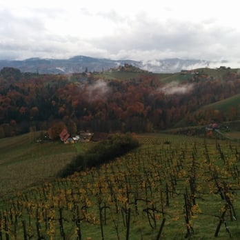 Gasthaus Tscheppe - Ausblick von der Terasse - Austrian Near Me - Sulztal, 6
