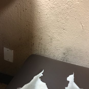 Chillin' Thai Cuisine - The seats and the wall...??! - Thai Near Me - El Monte, California