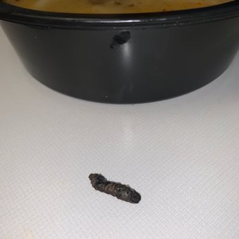 Poke Zone - A bug was inside of my Ramen soup. - Poke Near Me - Ridgewood, New Jersey