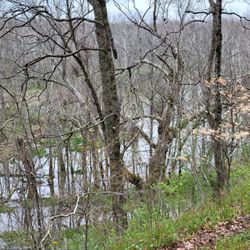 Rocky Fork State Park - Deer Loop Trail