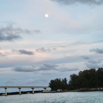 Parrotdise Express - Boat Charters Near Me - Dunedin, Florida