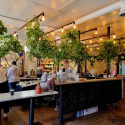 Aviano Coffee - Love the plants! Seating along the wall is cool to soak up the atmosphere