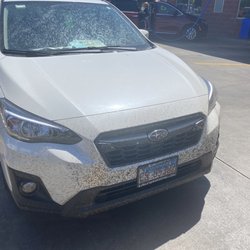 Before car wash - covered in bugs
