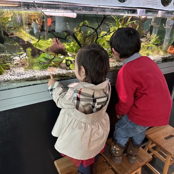 Exploratorium - Ohhhh.. so many types of shrimps! - Venues & Event Spaces Near Me - San Francisco, California Exploratorium - Ohhhh.. so many types of shrimps! - Venues & Event Spaces Near Me - San Francisco, California