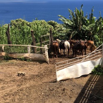 Circle M Ranch - Horseback Riding Near Me - Wailuku, Hawaii Circle M Ranch - Horseback Riding Near Me - Wailuku, Hawaii