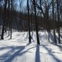 Photo of Glacier Hills Park