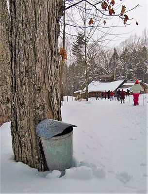 von Trapp Family Lodge & Resort by null