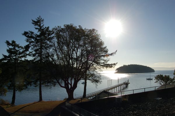 Mayne Island Resort by null