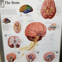 Dayton Center for Neurological Disorders - .