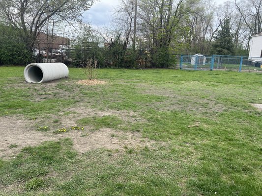 Detroit Dog Park by null