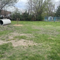 Detroit Dog Park - More pics of the park.