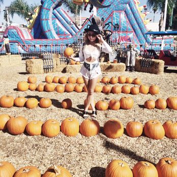 Santas Garden - Literally half of all the pumpkins... double this and you got the whole park... so not worth it - Christmas Trees Near Me - Newport Beach, California Santas Garden - Literally half of all the pumpkins... double this and you got the whole park... so not worth it - Christmas Trees Near Me - Newport Beach, California