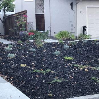 Emerald Landscape Company - Nick's landscape "design" - Irrigation Near Me - Livermore, California Emerald Landscape Company - Nick's landscape "design" - Irrigation Near Me - Livermore, California
