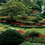 Photo of A & R Tree Service and Landscaping