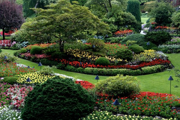 A & R Tree Service and Landscaping