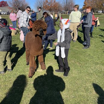 Eastland Alpacas - Ranches Near Me - Mount Joy, Pennsylvania Eastland Alpacas - Ranches Near Me - Mount Joy, Pennsylvania
