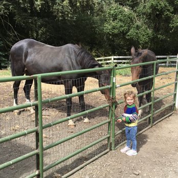 R2 Hillside Ranch - Ranches Near Me - Watsonville, California