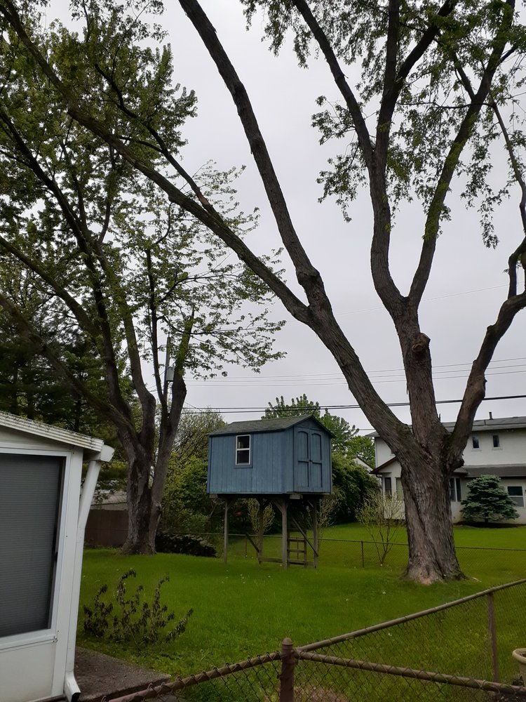 TREES ARE MY BUSINESS Updated May 2024 23 Photos & 36 Reviews