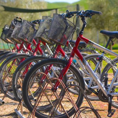 Ash Ridge Winery by null