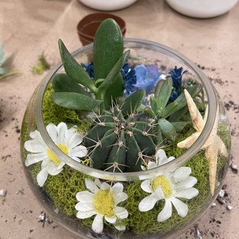PlantHouse - Nurseries & Gardening Near Me - Alexandria, Virginia