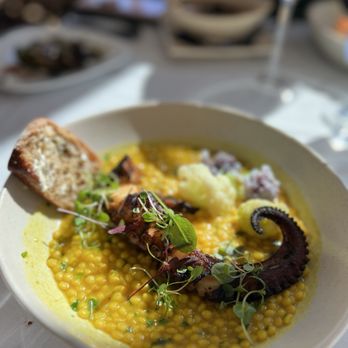 The Pinnacle Restaurant  - Grilled octopus over couscous - Mediterranean Near Me - Temecula, California