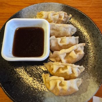 Saikyo Kitchen - Gyoza - Vietnamese Near Me - Odessa, Florida