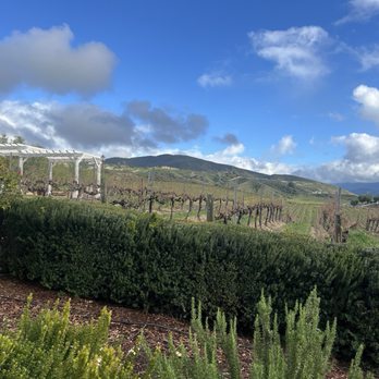 Leoness Cellars - Venues & Event Spaces Near Me - Temecula, California