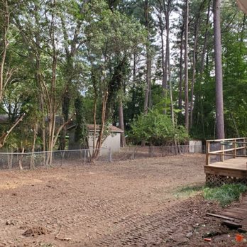 Earthly Touch - After - Tree Services Near Me - Raleigh, North Carolina Earthly Touch - After - Tree Services Near Me - Raleigh, North Carolina