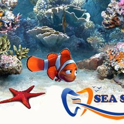 Sea Smiles Dental and Orthodontics - North Freeway