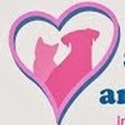 Snuggles and Hugs Active Dog Camp - "Your Babies, Our Babies"