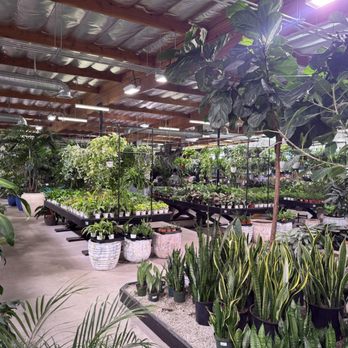Deep Roots Garden Center - Great selection of indoor plants - Nurseries & Gardening Near Me - Torrance, California