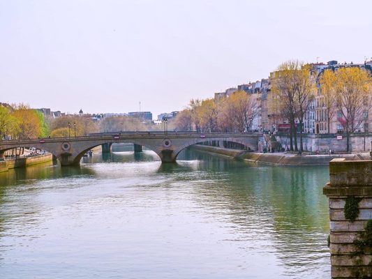 Latin Quarter by null