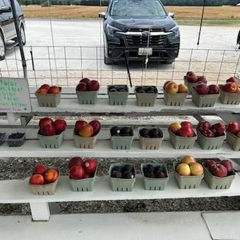 Barnyard Produce - Fruits & Veggies Near Me - Easton, Maryland Barnyard Produce - Fruits & Veggies Near Me - Easton, Maryland