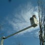 Photo of Treeworks