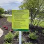 Photo of Parkview Family Park