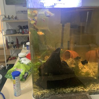 Coburg Aquarium - Aquarium Services Near Me - Coburg, VIC Coburg Aquarium - Aquarium Services Near Me - Coburg, VIC