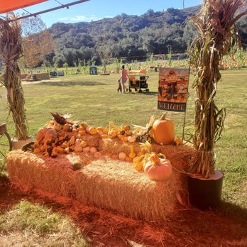 Bates Nut Farm - Picture opportunities - Specialty Food Near Me - Valley Center, California