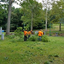Morgan Brothers Tree Service